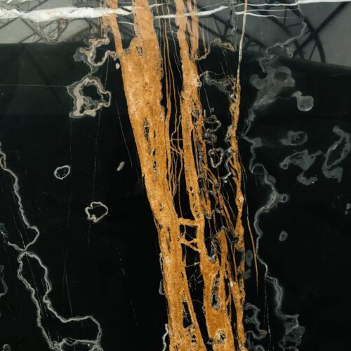 medium_1690792374_IMG_0572