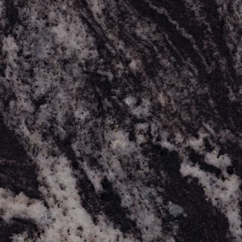 forest-black-4-scaled forest-black-4-scaled